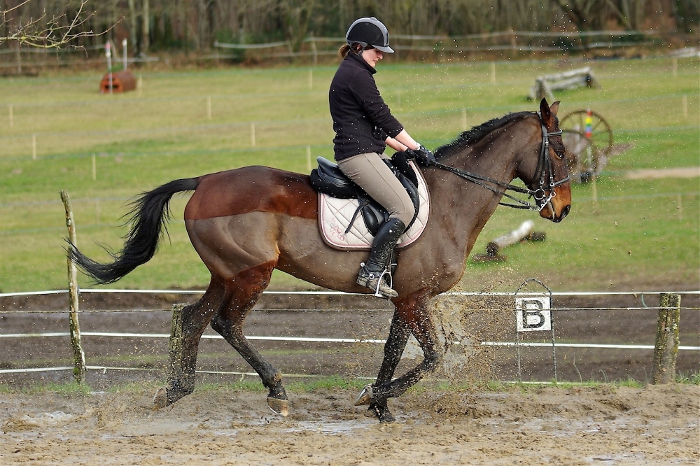 Practising for tomorrow's competition