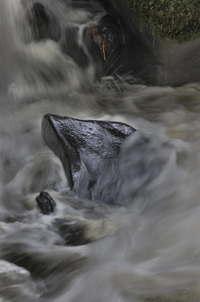 Black stone in the water 2