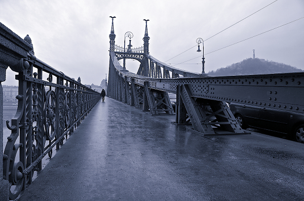 Liberty Bridge, Budapest