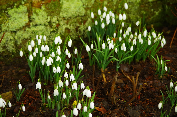 Not quite Spring