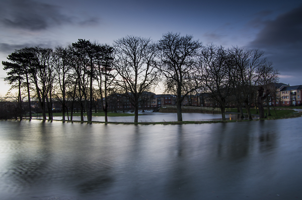 Pilton Pond!?