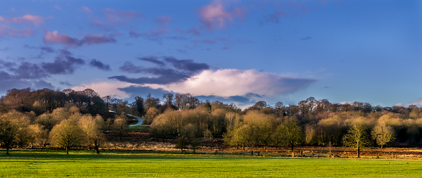 Richmond Park