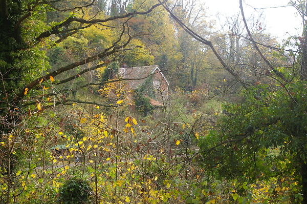 Rose Cottage
