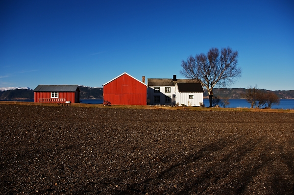 The Farm