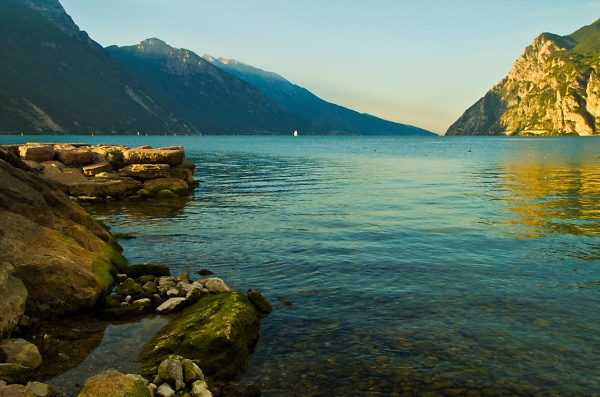 The Lake