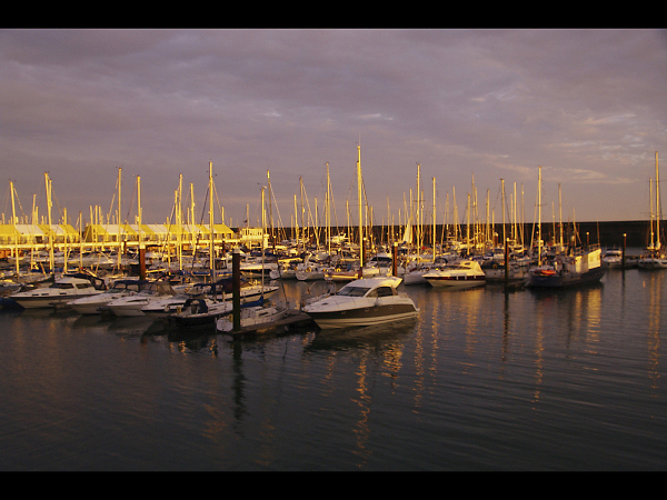 The Mariner