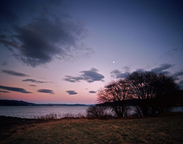 Trees, Clouds and Moon