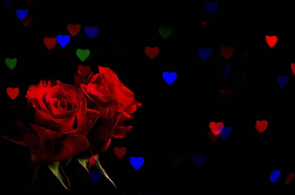 Valentine's day