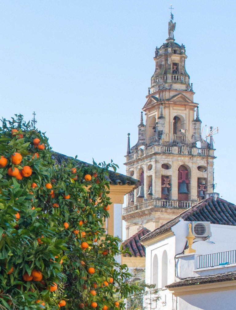 Cordoba Cathedral with January oranges