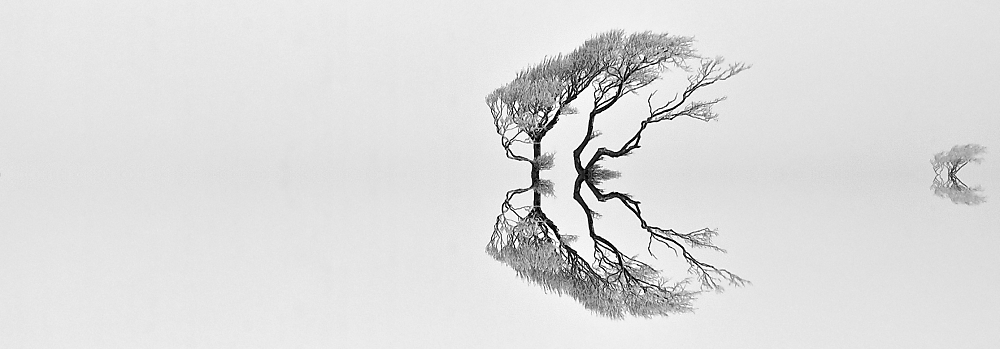 reflection