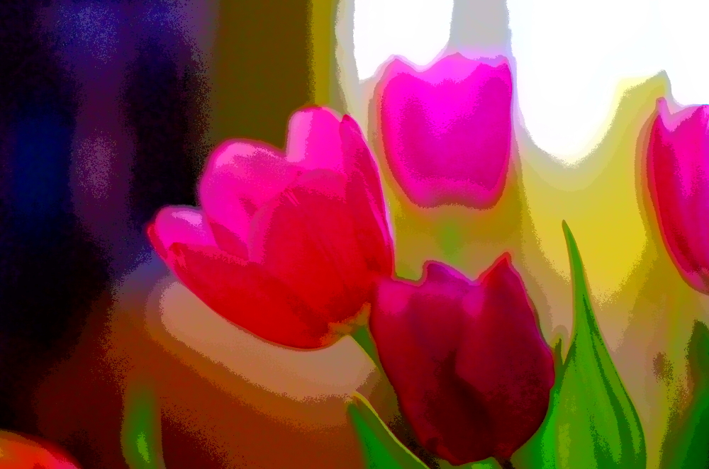 Those tulips again