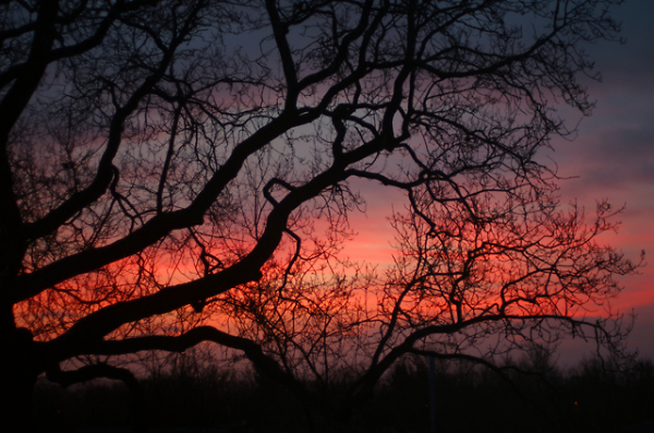A Crimson Sunrise?