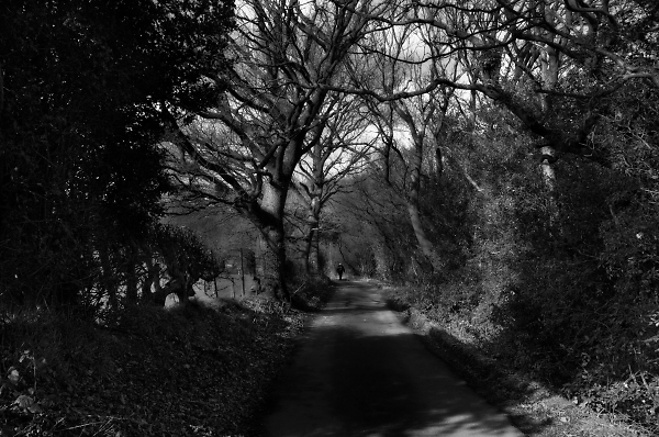 A pleasant walk