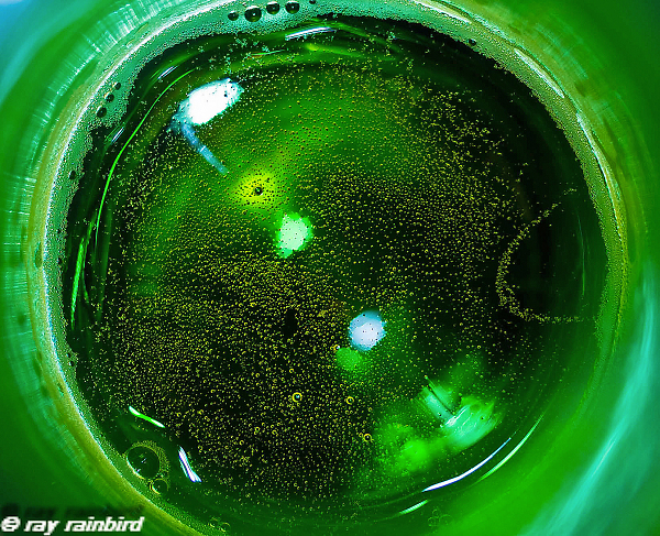 Bottom of the bottle
