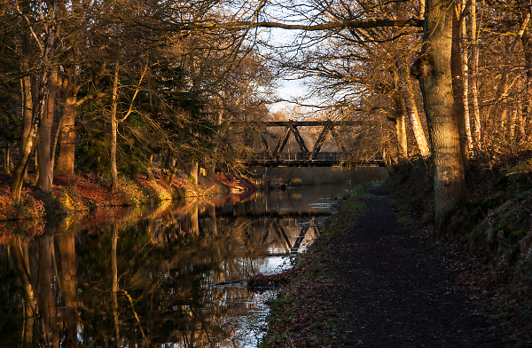Claycart Bridge at Dawn