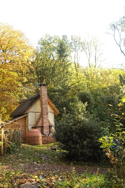 Cottage in the woods