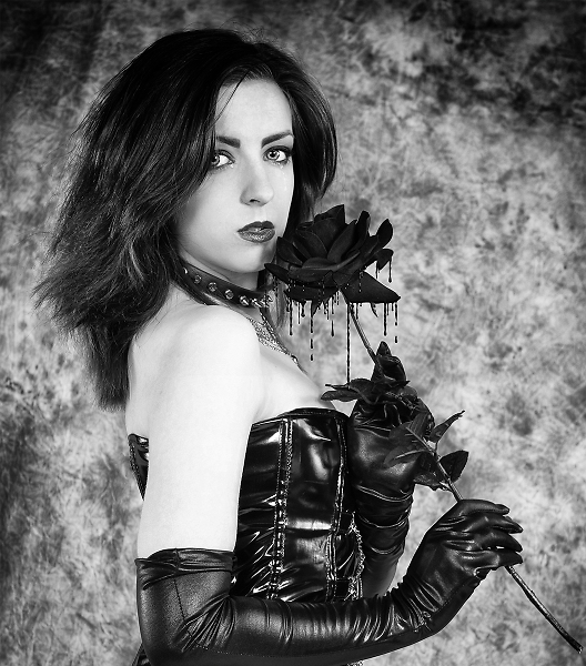 Dark Rose