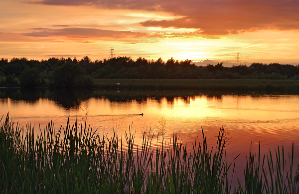 Evening Glow