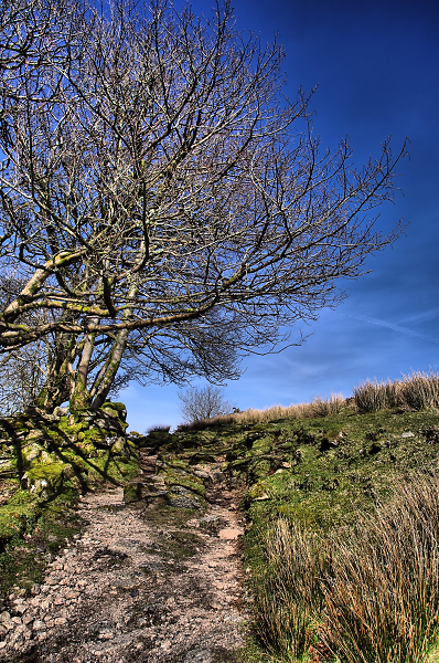 Footpath