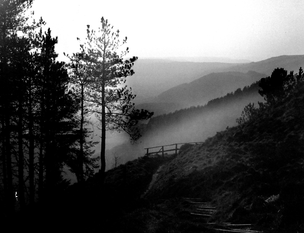 Light on distant river