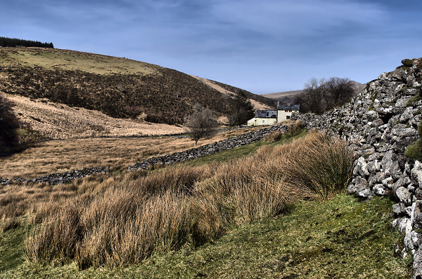 Little House On The Moor