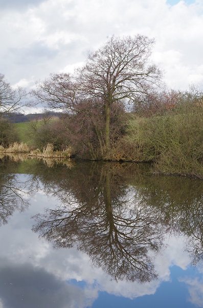 reflection