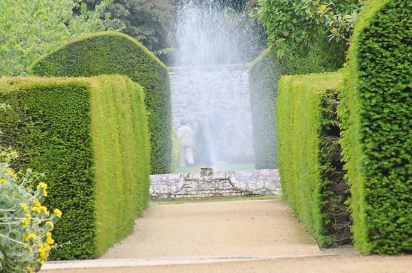 Shapes in the garden