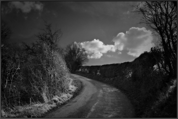 Spring is just around the corner b/w