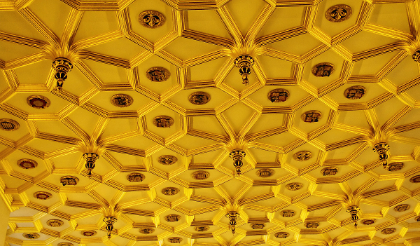 Who would have a ceiling like this!