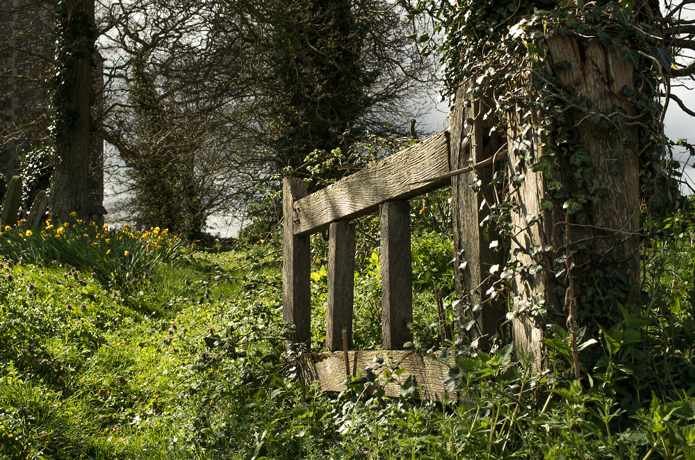 Back gate
