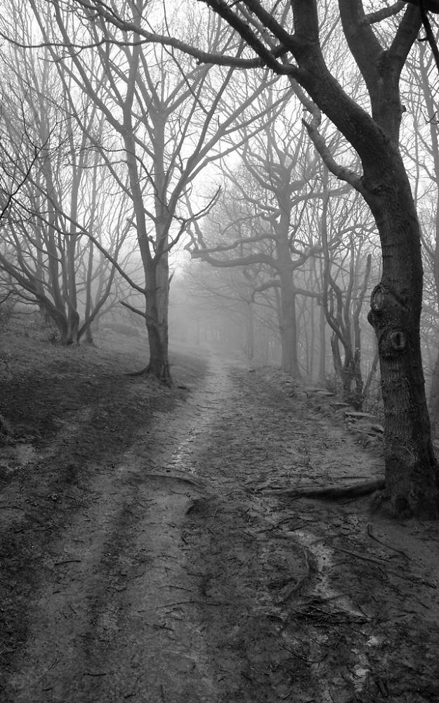 Path To Nowhere