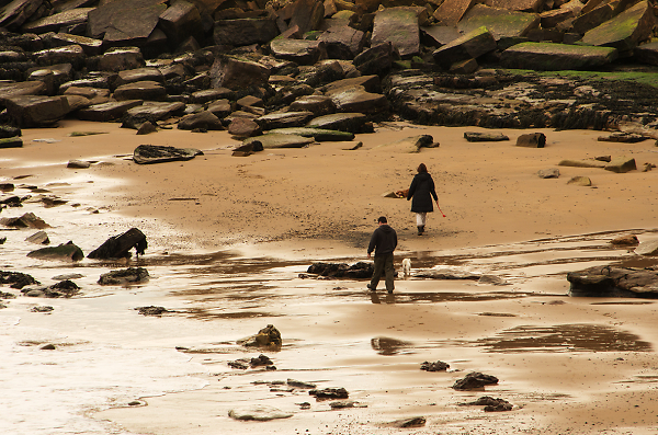 Dog Walkers