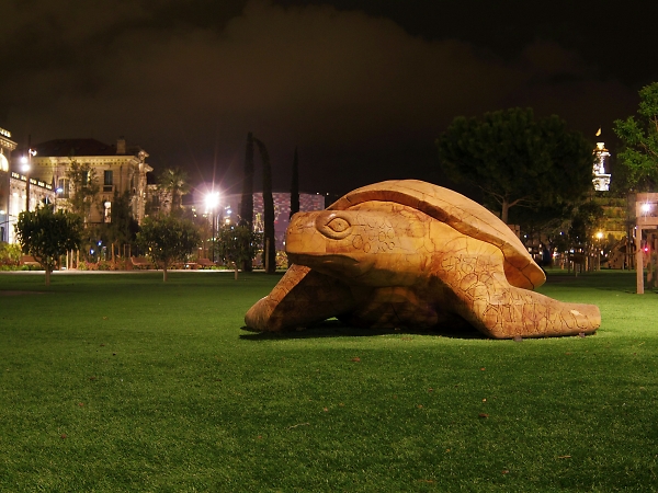 Night Turtle