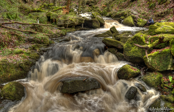 Padley Gorge