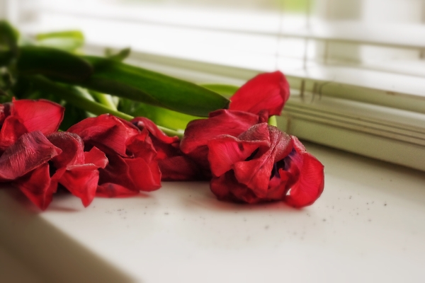 Red and dead
