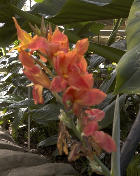 RHS.Wisley