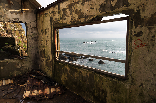 Room with a view