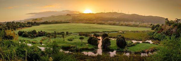 The Wetlands at Sunrise