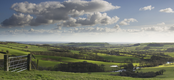 View from Bulbarrow Hill
