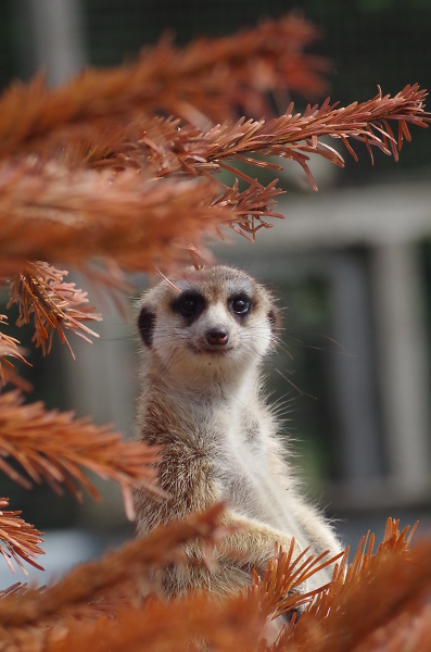 You looking at ME?