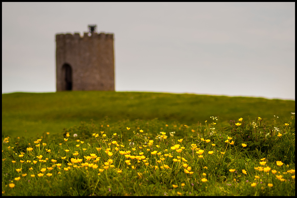 Buttercups