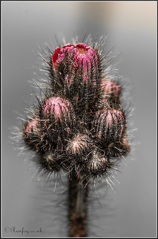 Dunno what it is!!