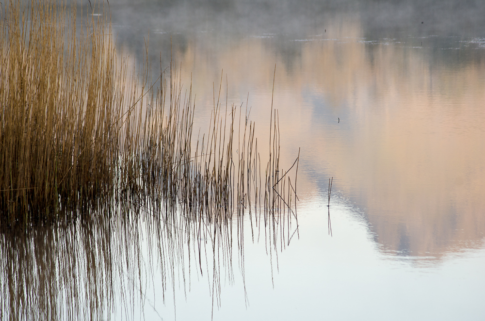 Elterwater