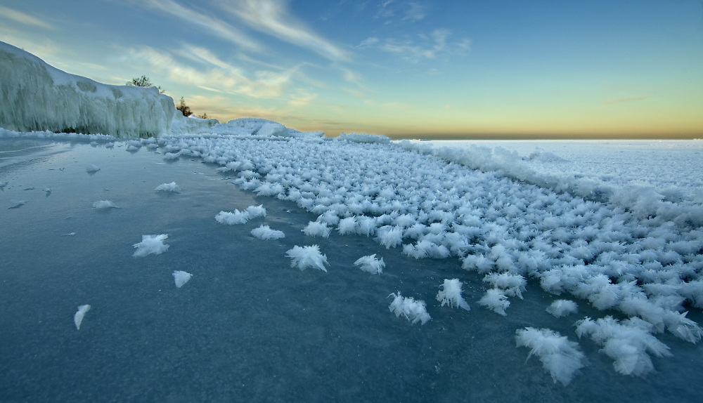 Ice Flowers