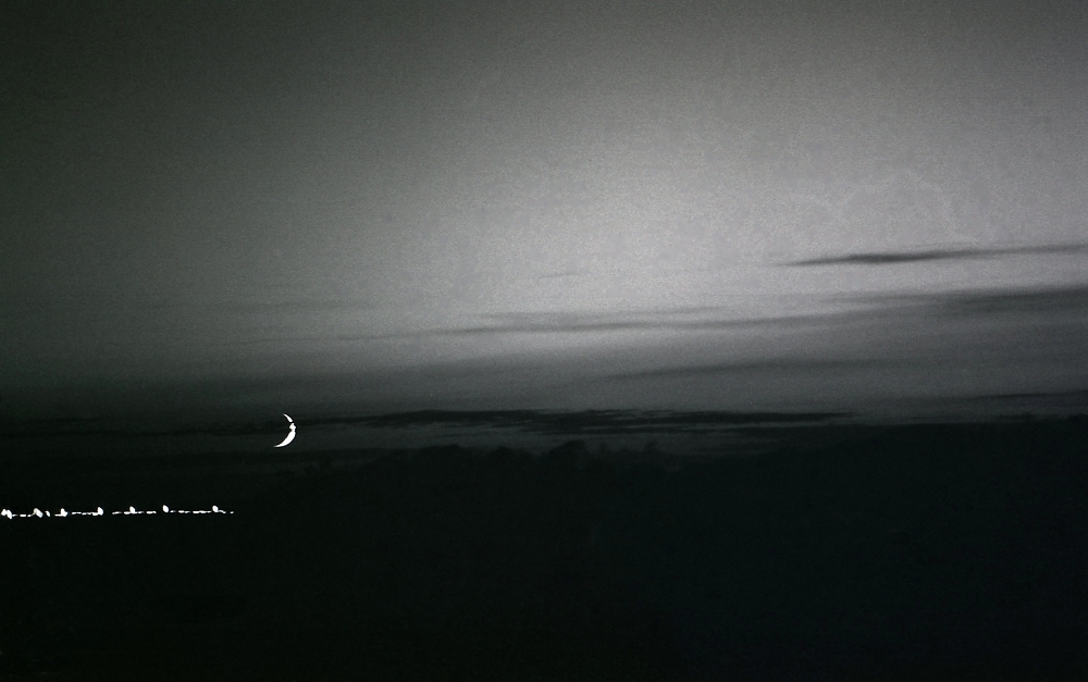 Moon Over Distant Night Tide......brings to me the magical garden of dreams.