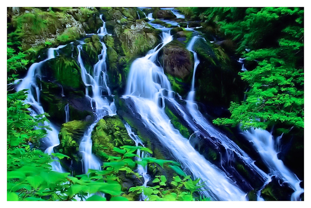 swallow falls