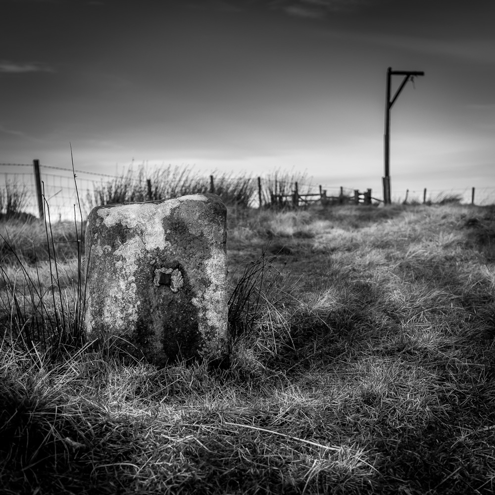 Winter's Gibbet