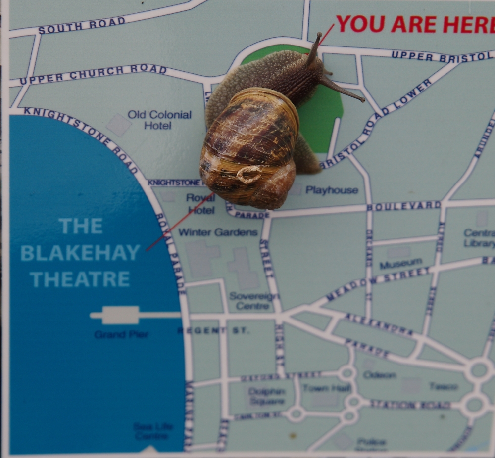 You are here !