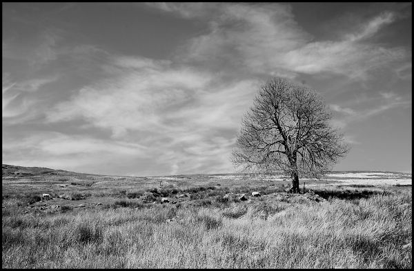 Above Blaenavon