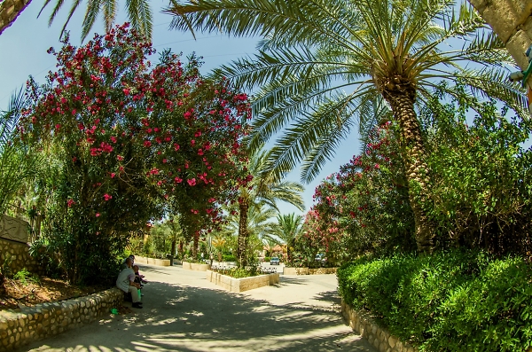 At Monastery of Saint Gerasimos of the Jordan